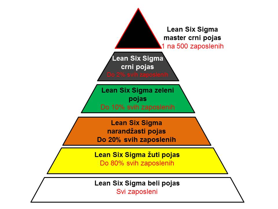 Infrastruktura kadrova za Lean Six Sigma koncepte